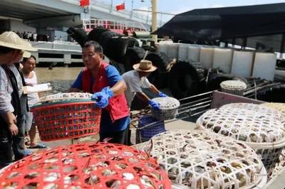 一周卖出8万只梭子蟹! 杭州吃货位列全国前三甲