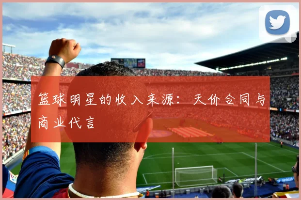 篮球明星的收入来源：天价合同与商业代言
