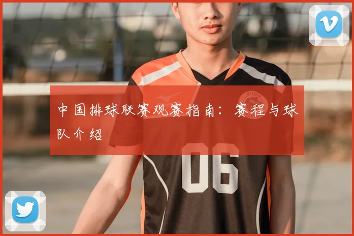 中国排球联赛观赛指南：赛程与球队介绍
