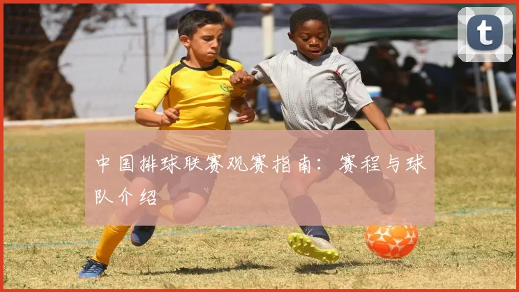 中国排球联赛观赛指南:赛程与球队介绍