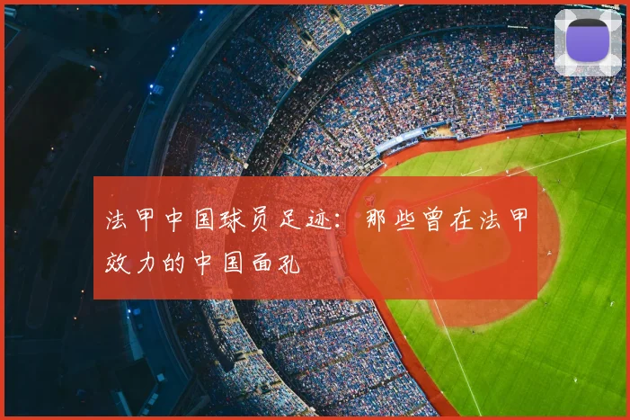 法甲中国球员足迹：那些曾在法甲效力的中国面孔