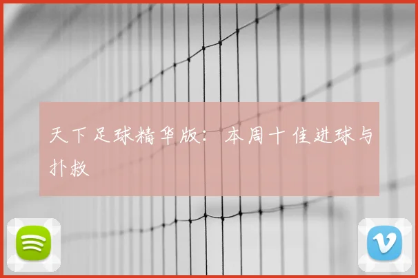天下足球精华版：本周十佳进球与扑救