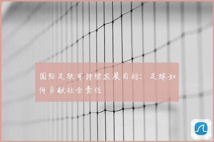 国际足联可持续发展目标:足球如何贡献社会责任