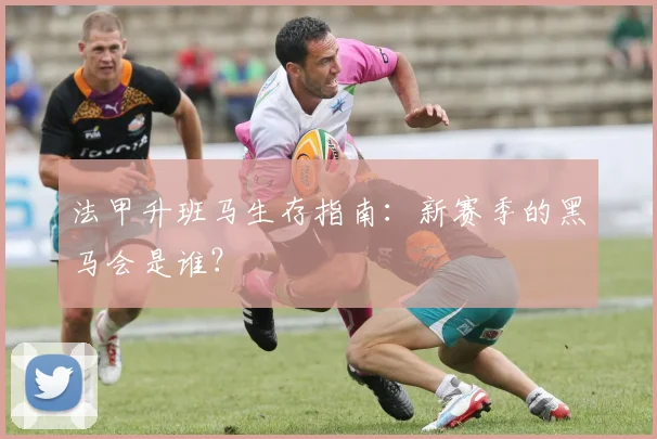 法甲升班马生存指南:新赛季的黑马会是谁?